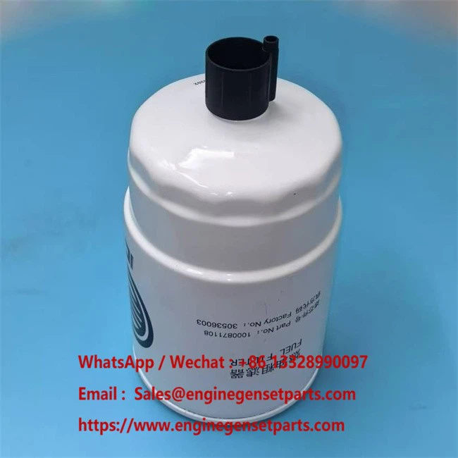 1000871108 Fuel Filter 1000871108 Fuel Filter